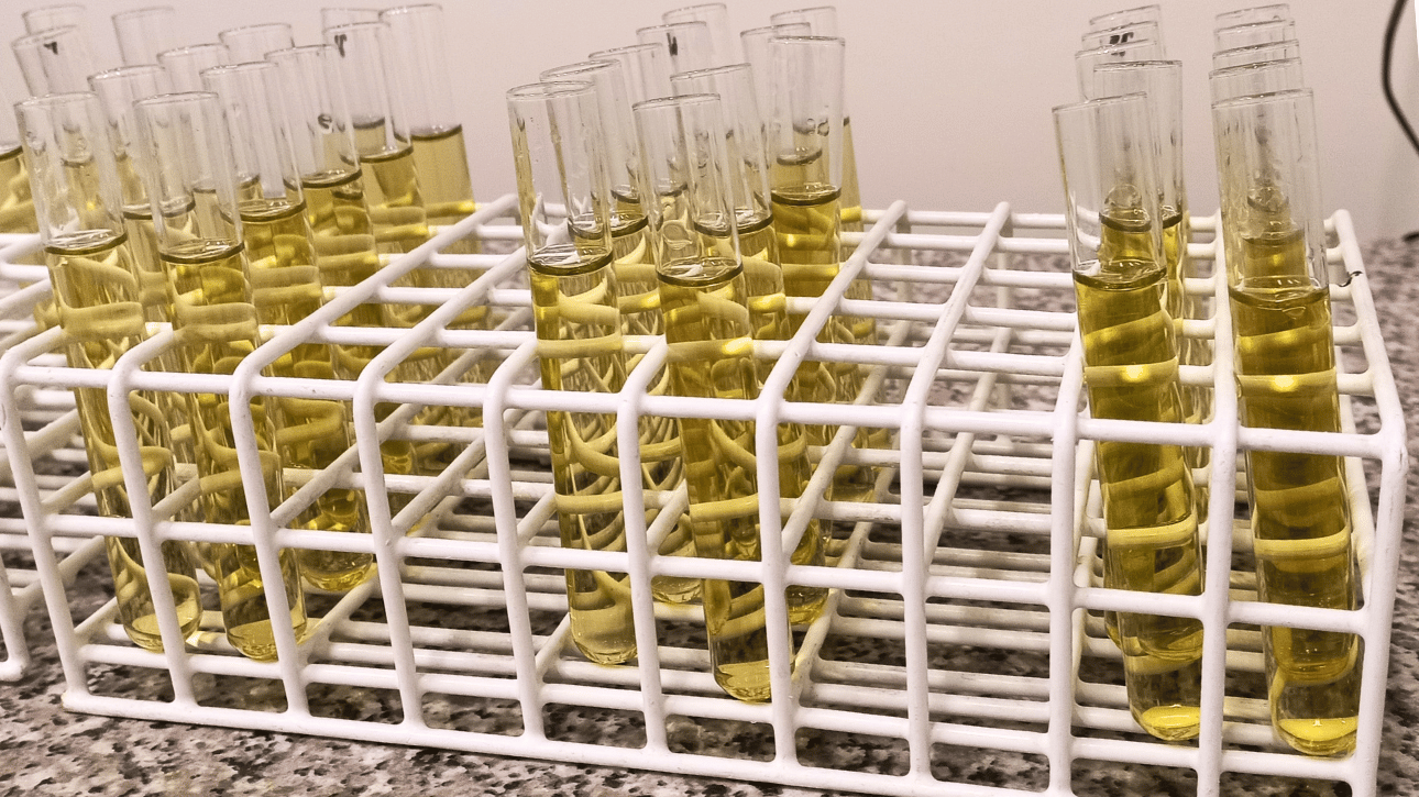 Analiza aktywności enzymów glebowych